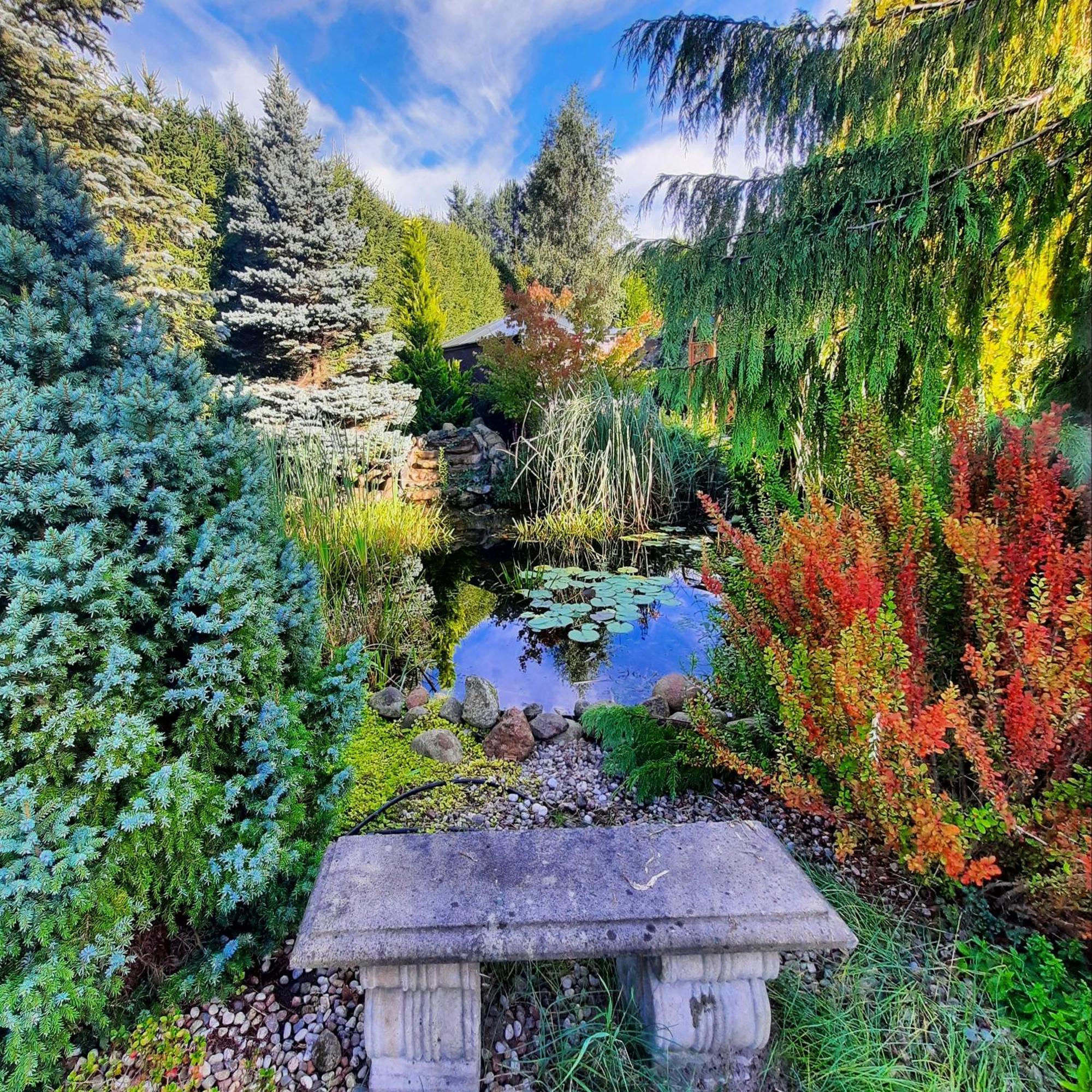 Retrohouse - Wypoczynek Dla Doroslych, B&B Reda Exteriér fotografie